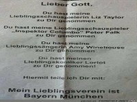 Mein Lieblingsverein