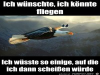 ich w�nschte ich k�nnte fliegen......