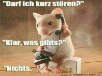 darf ich kurz st�ren ?