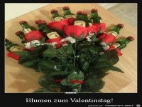 Der Strau� gef�llt mir