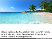 Die Natur erholt sich