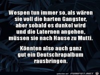 Wespen tun immer so hart