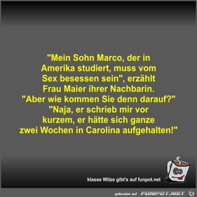 Mein-Sohn-Marco,-der-in-Amerika-studiert,-muss-vom-Sex....jpg von Fossy