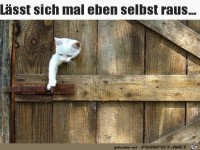 Kurz mal selbst die Tre ffnen