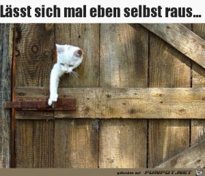 Kurz-mal-selbst-die-Tre-ffnen.jpg auf www.funpot.net