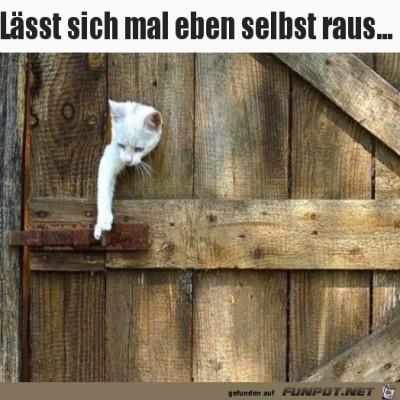Kurz-mal-selbst-die-T&uuml;re-&ouml;ffnen.jpg von Rebecca