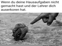 Hausaufgaben nicht gemacht