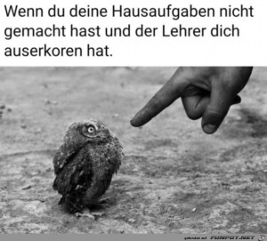 Hausaufgaben-nicht-gemacht.jpg auf www.funpot.net