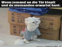 wenn jemand an die Türe klopft