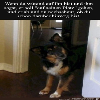 Die-Lage-checken.jpg von Tillmann