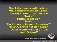 Das H�schen erholt sich im Wald und trifft einen J�ger