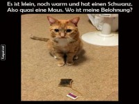 Teebeutel-Falle