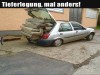 weiter