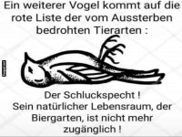 Schluckspecht in Not!