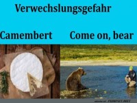 B�r trifft Brie: Wer ist das wahre Original?