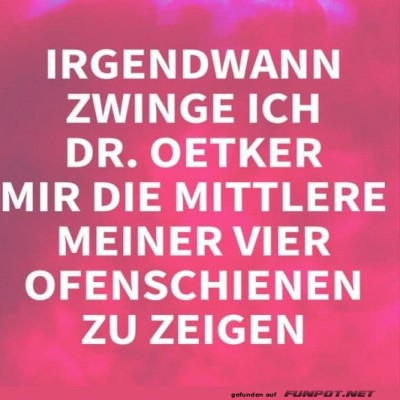 Backofen-Revolution:-Dr.-Oetker's-Zeit-ist-gekommen!.jpg von Kurt1978