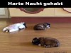 weiter