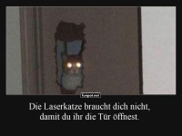 Die Laserblick-Katze ist los!