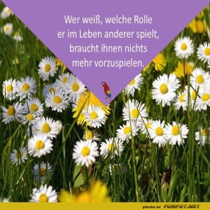 Die-Weisheit-der-Gänseblümchen.jpg von Sirene