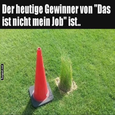 Unkrautexperte-weist-Verantwortung-von-sich!.jpg von Erwin32