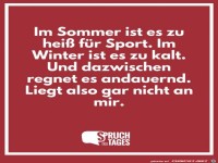 im-sommer-ist-es-zu-heiss-