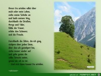 bevor du urteilen willst