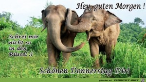 Begrüßungsbild