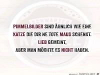Pimmelbilder