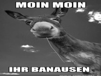Guten Morgen