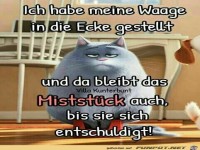 Die Waage ist b�se