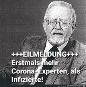 Mehr-Corona-Experten-als-Infizierte.jpg auf www.funpot.net