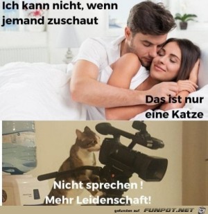 Die-Katze-schaut-zu.jpg auf www.funpot.net