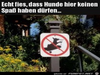 Hunde d�rfen keinen Spa� haben