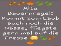 Bauernregel