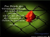 Blick des Verstandes