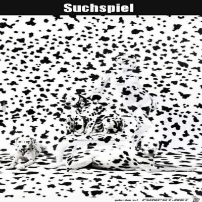 Suchspiel.jpg von Sia