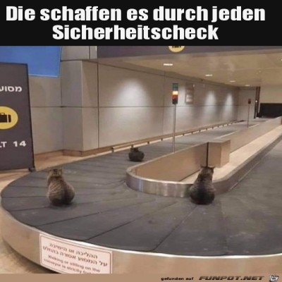 Kommen-sicher-durch-den-Check.jpg von Harald48