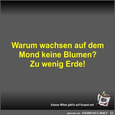 Warum-wachsen-auf-dem-Mond-keine-Blumen?.jpg von Fossy