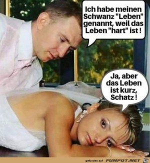 Das-Leben-ist-hart.jpg auf www.funpot.net