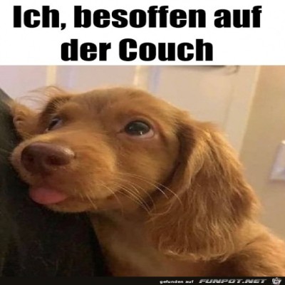 Besoffen-auf-der-Couch.jpg von Pina