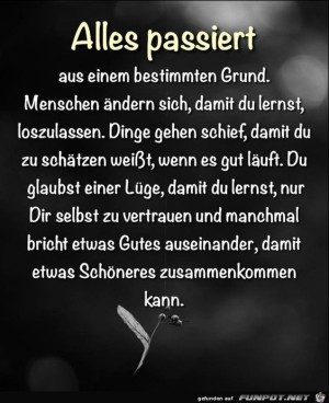 Alles-pasiert.jpg auf www.funpot.net