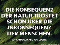 Die Konsequenz der Natur