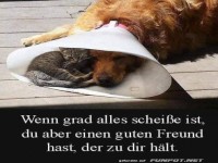 Guter Kumpel