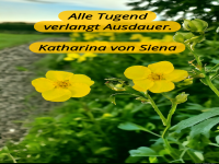 alle Tugend verlangt