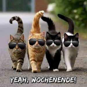 fun-Bild: Wochenende