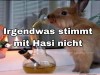 weiter
