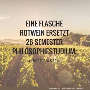 fun-Bild: Wein: Der wahre Philosoph in der Flasche