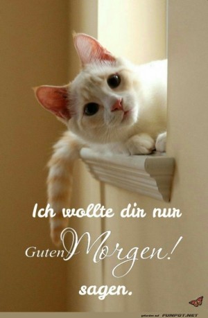 Guten-Morgen.jpg auf www.funpot.net