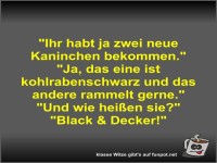 Ihr habt ja zwei neue Kaninchen bekommen