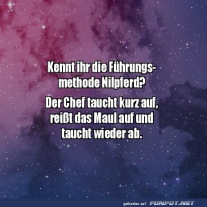 Führungsmethode-Nilpferd.jpg von Matilda